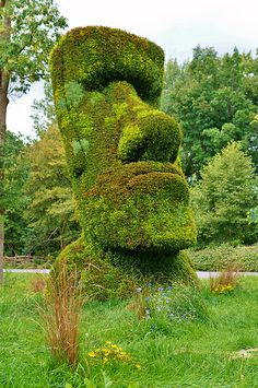 a sculpture made out of plants in the grass