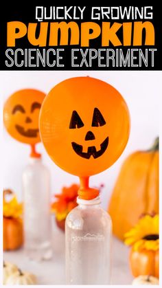 pumpkin science experiment for kids with text overlay that reads quick growing pumpkin science experiment