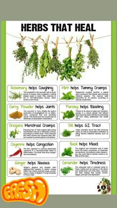 a poster with herbs hanging from the clothes line