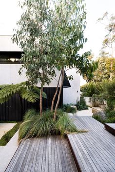 a wooden deck surrounded by plants and trees