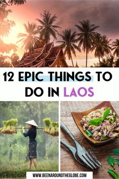 the cover of 12 choses a faire au laos with images of food and palm trees