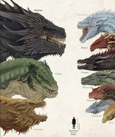 the different types of godzillas are shown in this image, and there is an individual standing next to them