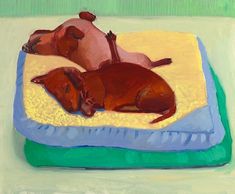 two brown dogs laying on top of a blue and yellow blanket next to each other