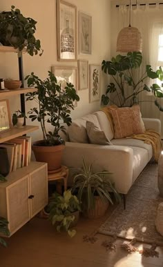 a living room filled with furniture and lots of plants