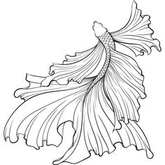 a black and white drawing of a fish with long tail, on a white background