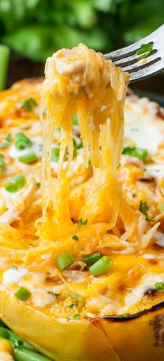 buffalo chicken spaghetti squash bowls Spaghetti Squash Buffalo Chicken, Chicken Stuffed Spaghetti Squash, Buffalo Chicken Spaghetti, Buffalo Chicken Spaghetti Squash, Cheesy Spaghetti Squash, Cheesy Buffalo Chicken, Pizza Pasta Bake, Buffalo Chicken Pasta, Chicken Pasta Bake