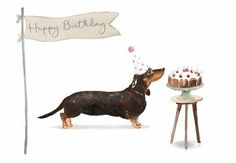 a dachshund dog standing next to a birthday cake