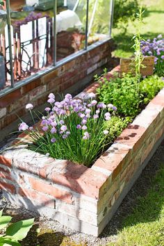 a brick planter filled with lots of purple flowers