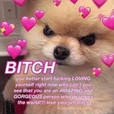 ITS WHOLESOME HOURS I LOVE YOU AND ADORE YOU SO MUCH Cute Stuff To Send To Your Girlfriend, Aggressive Love, Heart Memes, Love You Meme, Heart Meme, Memes In Real Life, Cute Love Memes, Loving Yourself, Dump A Day