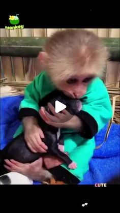 a monkey is holding a small dog in its lap and it's face is covered with something