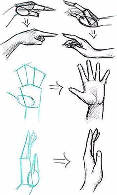 hands and fingers are shown in this drawing lesson, which shows how to draw hands