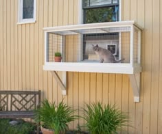 a cat sitting on top of a window sill in front of a wooden building