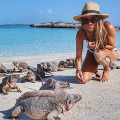 a woman kneeling down on the beach next to two large lizards and an iguana