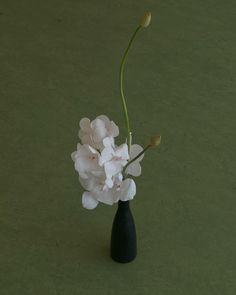 a black vase with white flowers in it