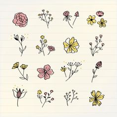 hand drawn flowers on lined paper