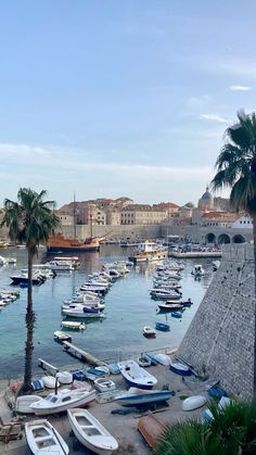 many boats are docked in the water next to some buildings and palm trees on the shore