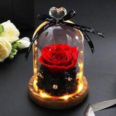 a red rose is under a glass dome with lights on it and some flowers in the background