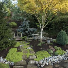 a garden with rocks and trees in the middle, surrounded by green plants on either side