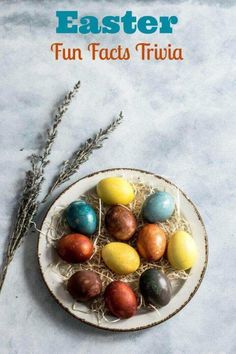 a plate filled with chocolate eggs sitting on top of a table next to a plant