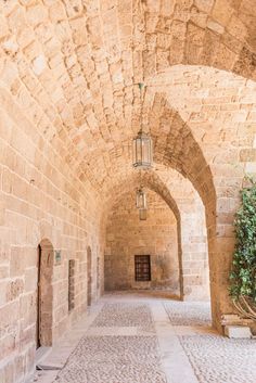 an alley way with stone walls and arched doorways, leading to a small tree