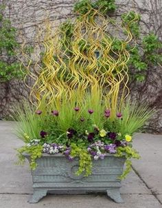 a potted planter filled with purple and yellow flowers