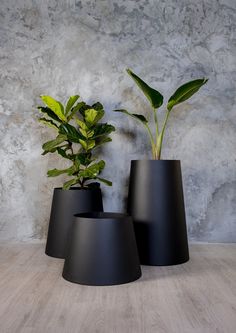 three black vases with plants in them on a wooden floor next to a stone wall