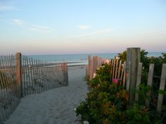 the beach is fenced off with wooden posts and flowers in front of the ocean