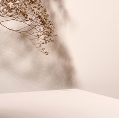 a vase with dried flowers in it sitting on a white table next to a wall