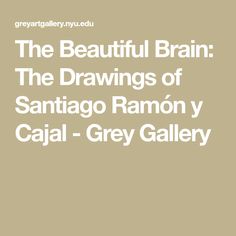 the beautiful brain the drawings of santiago ramon cajaal - grey gallery book cover