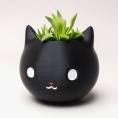 a black cat planter with white dots on it's eyes and nose is shown