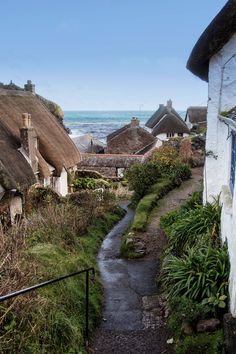 an alley leading to the ocean with thatched roofs and green vegetation on either side