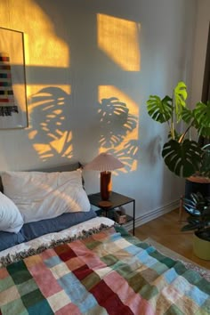 a bed sitting in a bedroom next to a window with sun shining through the windows