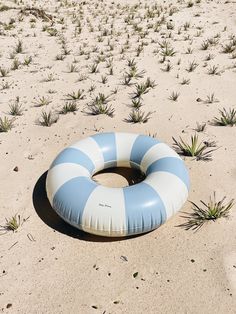 an inflatable ring sits on the sand near small plants and grass at the beach