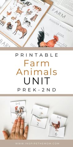 Learn all about farm animals with this awesome bundle for prek-2nd grade. Great for homeschool or classroom use! #farm animals #farm animals unit #farm unit #preschool unit #kindergarten unit #spring #fall #educational resource #homeschool printable #farm printable Farm Unit Preschool, Printable Farm Animals, Farm Printable, Farm Animals Preschool, Study Math, Farm Animals Activities, Science Homeschool, Kindergarten Units, Unit Studies Homeschool