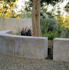 two cement planters sitting next to each other near a tree