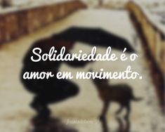 an image of a man kneeling in the snow with a dog next to him and text that reads, solidaridade e'o amor em movimentoento