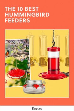 the 10 best hummingbird feeders for birds that are easy to make and use