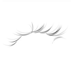 an image of long eyelashes on a white background