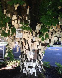 the tree is covered with notes and cards