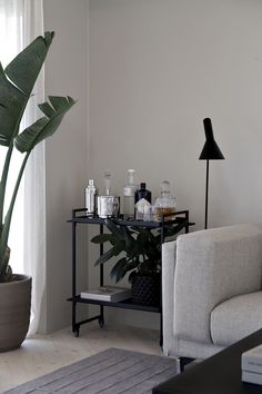 a living room filled with furniture and a plant next to a window on top of a hard wood floor