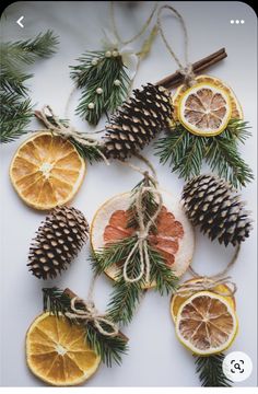 orange slices and pine cones are tied with twine