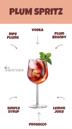 Plum Spritz Plum Vodka Cocktails, Plum Wine Cocktail, Plum Brandy Cocktails, Plum Gin Cocktail, Gin Triple Sec Cocktails, Fruity Summer Cocktails, Spritz Drink, Easy Summer Cocktail Recipes, Easy Summer Cocktails