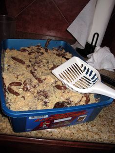 a blue dish filled with food next to a white spatula on top of a counter