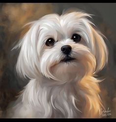 a painting of a white dog with brown eyes and long hair looking at the camera