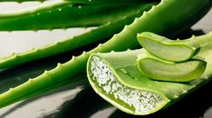 an aloena plant with green leaves on it's side and water droplets