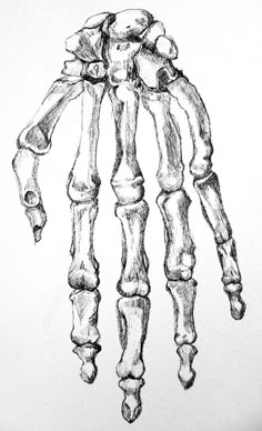 a drawing of a hand with bones on it