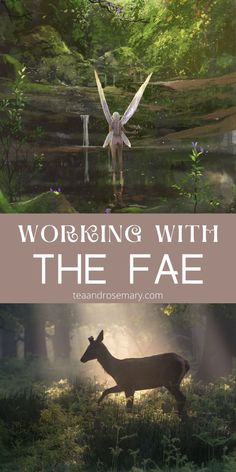 Fae Magick Spells, Fairy Offering Ideas, How To Work With The Fae, The Fae Folk, Fae Abilities, Working With Angels, Rules Of The Fae, Dancing Faeries, Fae Lore Tumblr