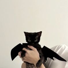 a person holding a black cat with a bat on it's head and wings