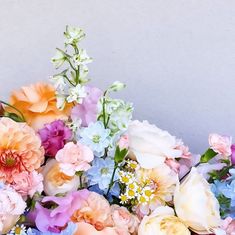 a bunch of flowers that are sitting on the ground in front of a white wall