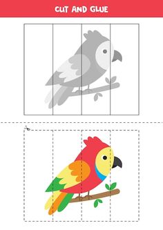 the cut and glue bird is shown in three different pictures, including one with a parrot on